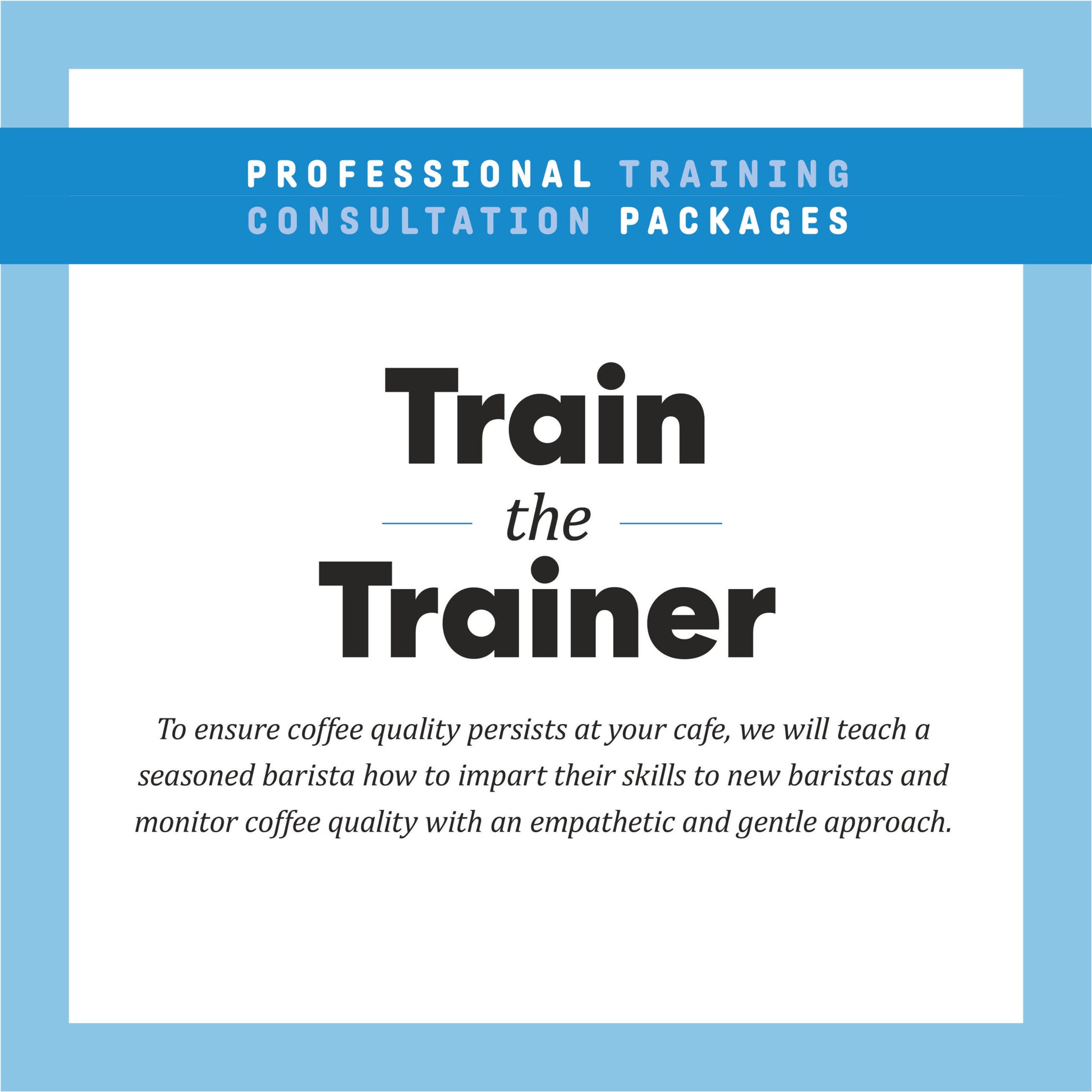 Train the Trainer Professional Training Consultation
