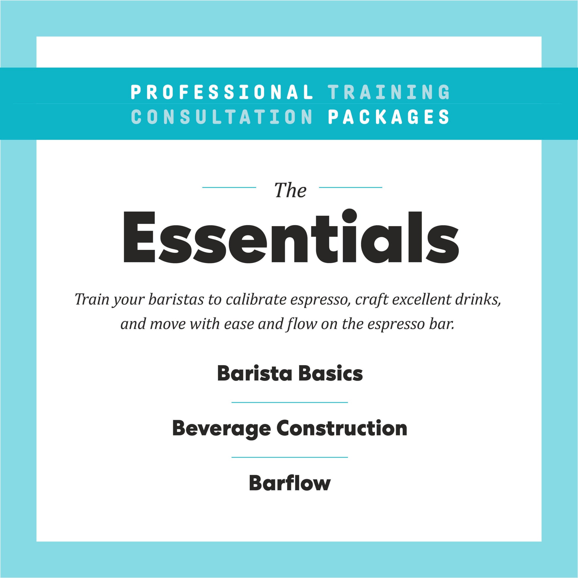 The Essentials Professional Training Consultation