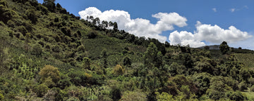 La Familia Guarnizo Colombia