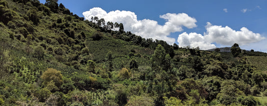 La Familia Guarnizo Colombia