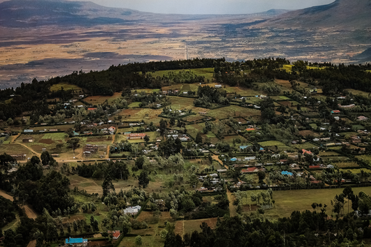 Aerial view of a lush, green agricultural landscape in Kenya's Rift Valley, with scattered homes, farms, and tree-lined plots. In the distance, the terrain flattens into a dry, golden plain bordered by hazy mountain ranges under a muted sky.