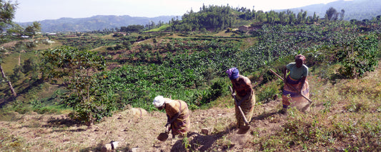 Women of Ejo Heza clear brush on a hillside