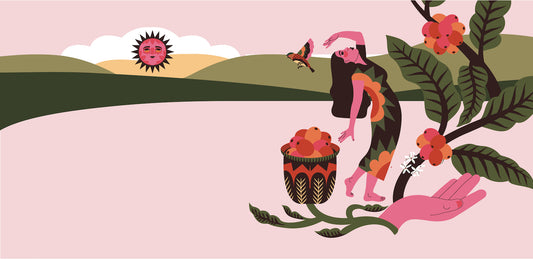 Introducing The Village, a women-produced coffee