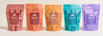 A Fresh Look, A Familiar Collaboration: Lincoln Center is Back - Joe Coffee Company