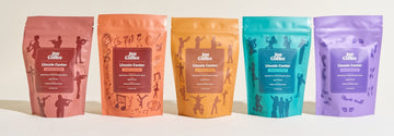 A Fresh Look, A Familiar Collaboration: Lincoln Center is Back - Joe Coffee Company
