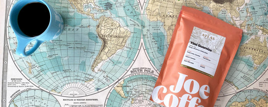 Atlas Collection Bag