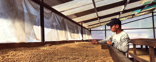 African beds at Fincas Mierisch