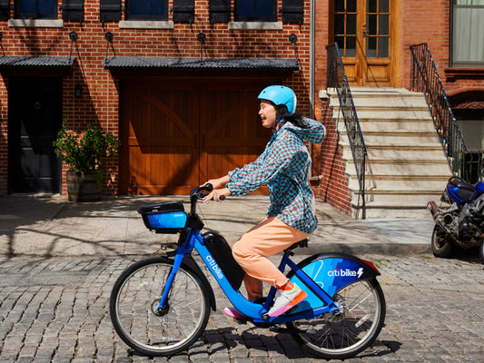 <p>Subsidized Citi Bike</p>