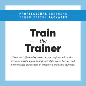 Train the Trainer Professional Training Consultation