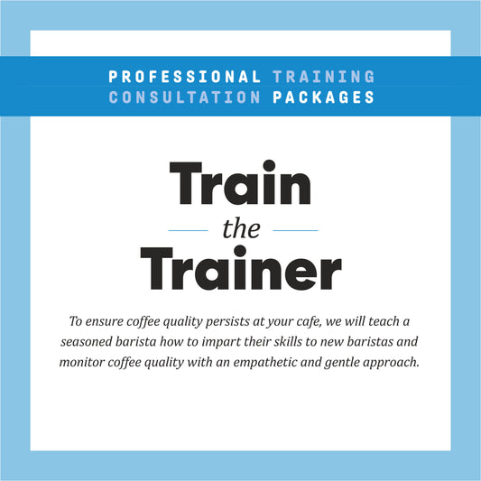 Train the Trainer Professional Training Consultation