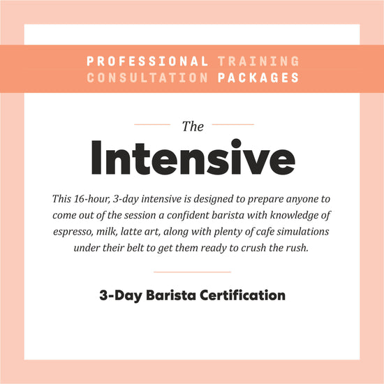 The Intensive Professional Training Consultation