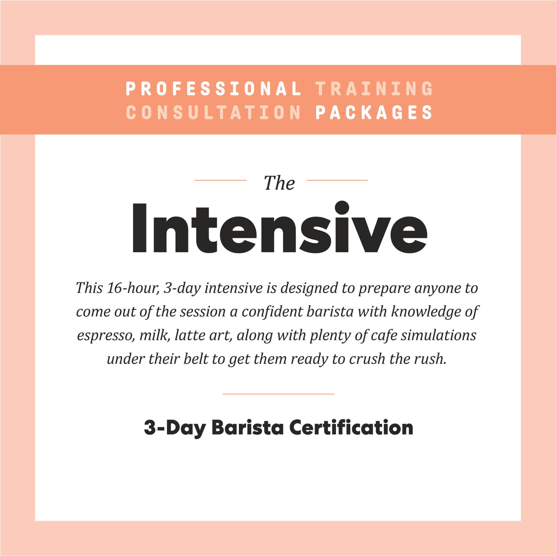 The Intensive Professional Training Consultation