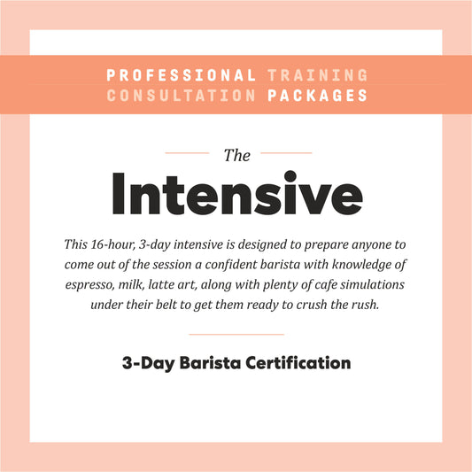 The Intensive Professional Training Consultation