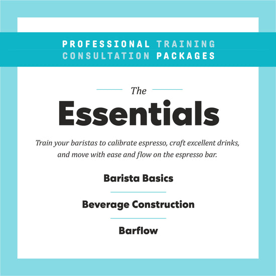 The Essentials Professional Training Consultation