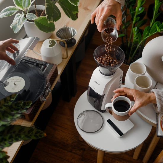 Baratza Encore Coffee Grinder - Joe Coffee Company