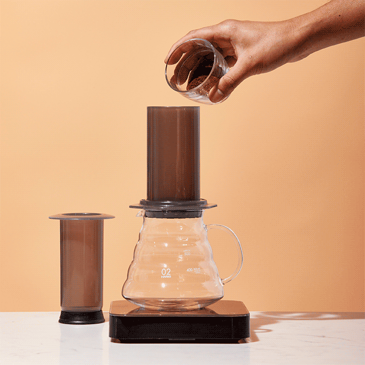 Ground coffee is poured into an Aeropress