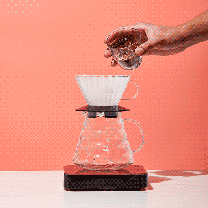 Ground coffee is added to a Kalita Wave