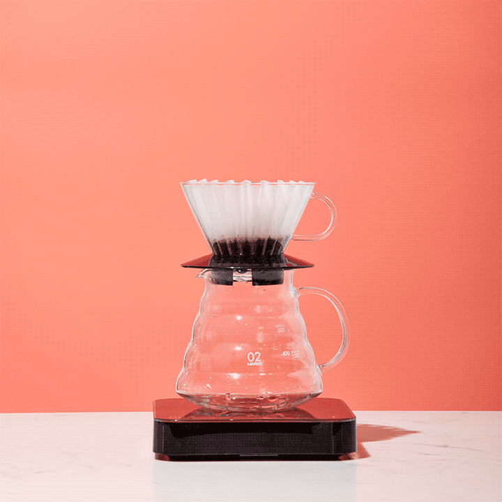 Water is poured over grounds in a Kalita Wave