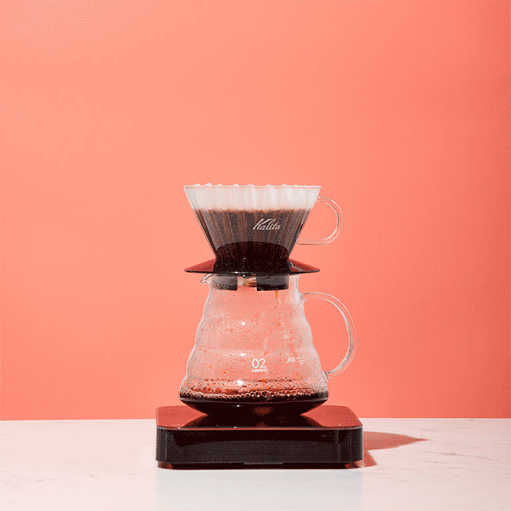 Coffee drips down out of a Kalita Wave, and is served in a white cup.