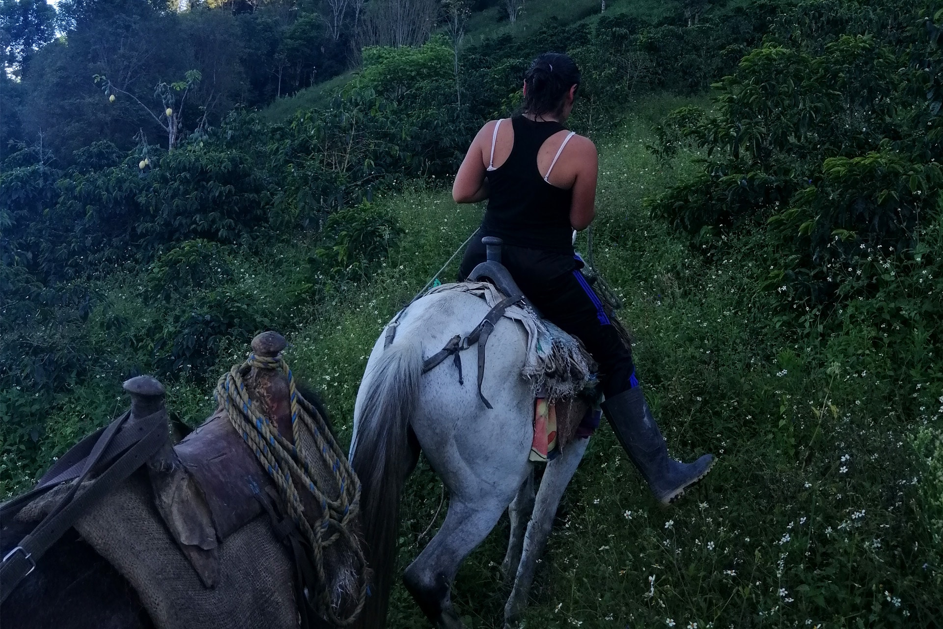 Yilberto Guarnizo's daughter on horseback