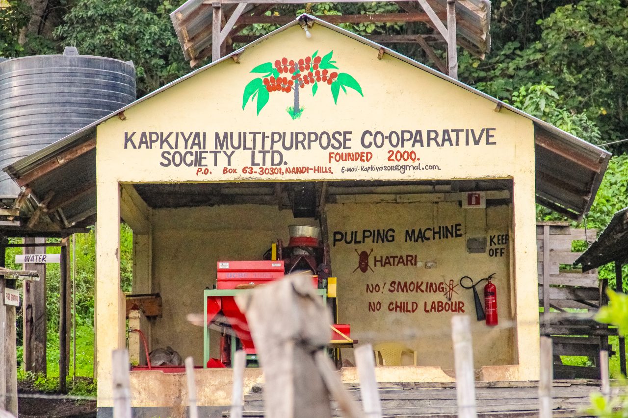 A depulping machine sits underneath an open shed at the Kapkiyai Cooperative